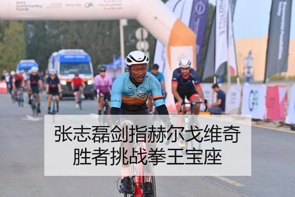 张志磊剑指赫尔戈维奇 胜者挑战拳王宝座